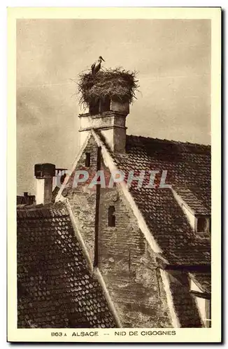 Cartes postales Folklore Alsace Nid de cigognes