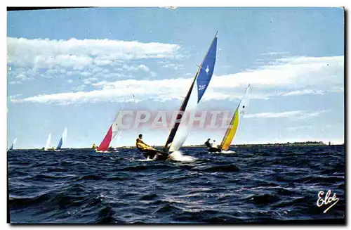 Cartes postales moderne Bateau Bassin d&#39Arcachon Voiliers en regates sur le bassin