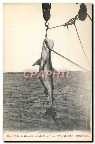 Cartes postales Peche Une peche de requins sur rade de Fort de France Martinique TOP