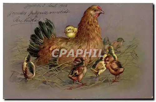 Cartes postales Coq Poule Poussins