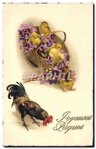 Cartes postales Coq Poussins Paques