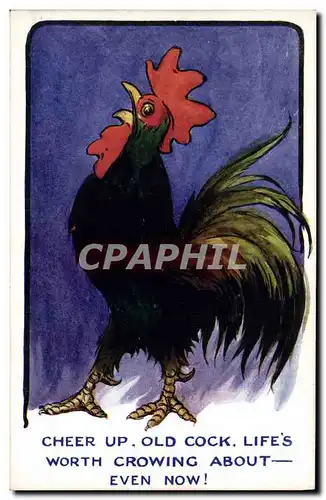 Cartes postales Coq