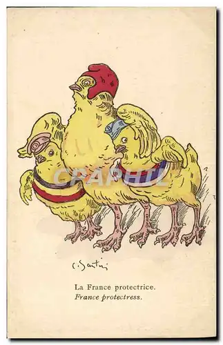 Cartes postales Coq Poule Poussins La France protectrice