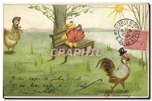 Cartes postales Coq Poule