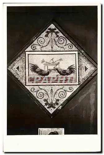 Cartes postales Coq Poule Napoli R Museo Nazionale Combat de coqs