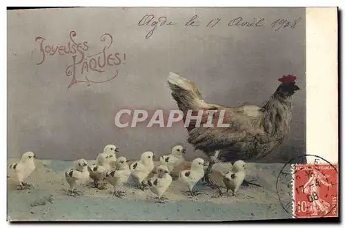 Cartes postales Coq Poule Poussins