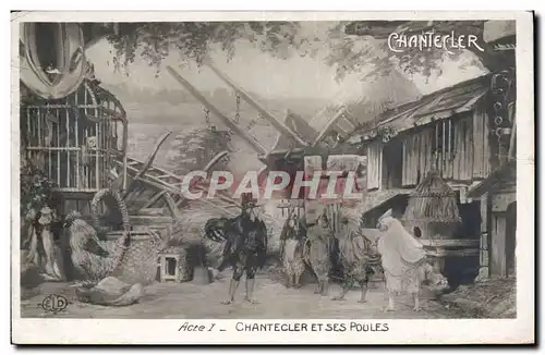 Cartes postales Coq Poule Chantecler et ses poules