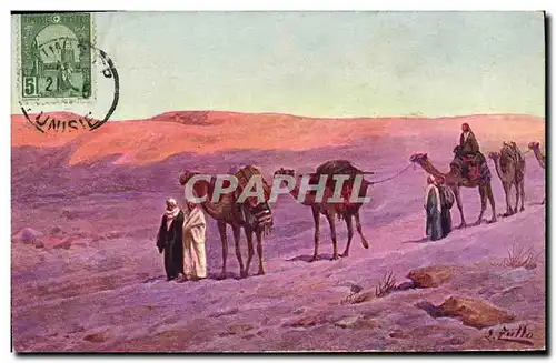 Cartes postales Orientalisme Chameaux Tunisie