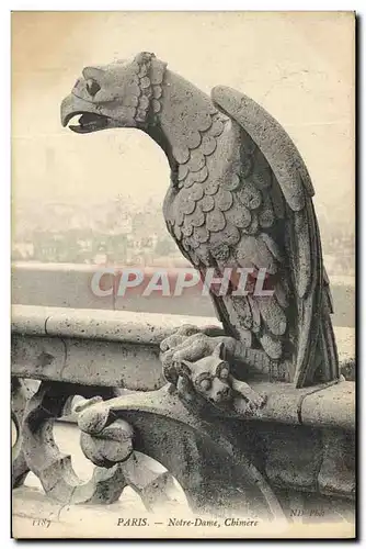 Cartes postales Gargouille Paris Notre Dame Chimere