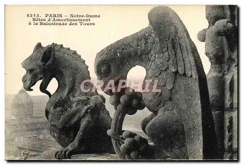 Cartes postales Gargouille Paris Notre Dame Betes d&#39amortissement a la balustrade des Tours