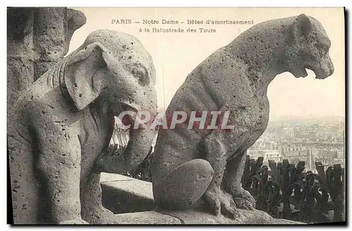 Ansichtskarte AK Gargouille Paris Notre Dame Betes d&#39amortissement a la balustrade des Tours Elephant