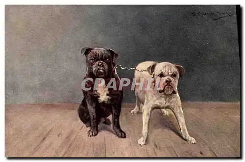 Cartes postales Chien Chiens Chiot