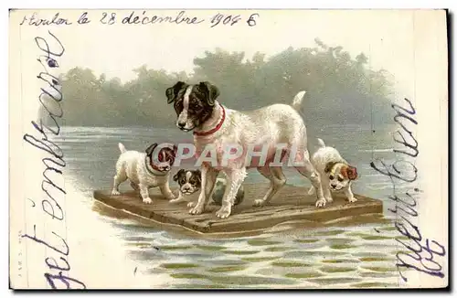 Cartes postales Chien Chiens Chiot