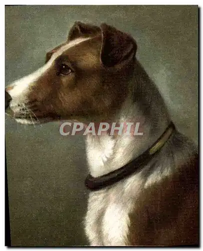 Cartes postales Chien Chiens Chiot
