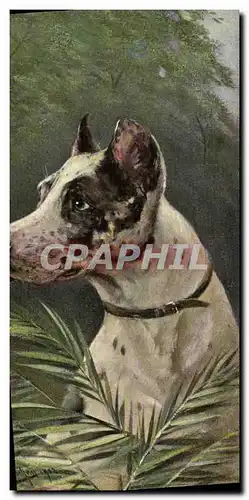 Cartes postales Chien Chiens Chiot