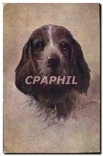 Cartes postales Chien Chiens Chiot