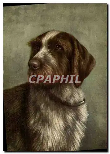 Cartes postales Chien Chiens Chiot
