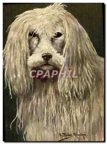 Cartes postales Chien Chiens Chiot