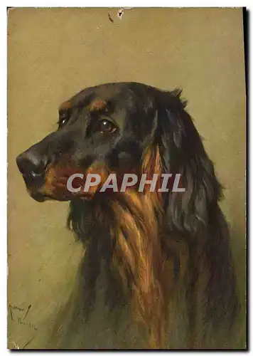 Cartes postales Chien Chiens Chiot