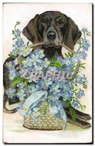 Cartes postales Chien Chiens Chiot