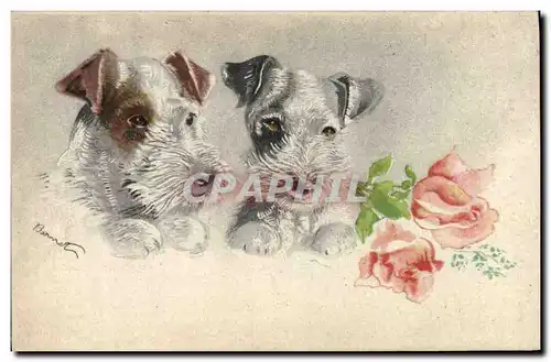 Cartes postales Chien Chiens Chiot