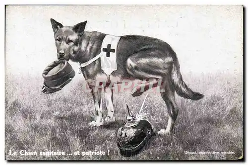 Cartes postales Sante Militaria Le chien sanitaire Croix Rouge et patriote