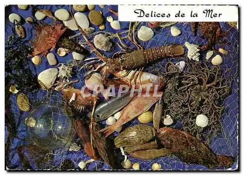 Cartes postales moderne Delices de la mer