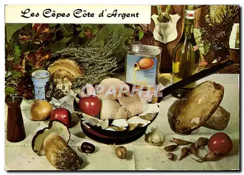 Cartes postales moderne Les Cepes Cote d&#39Argent