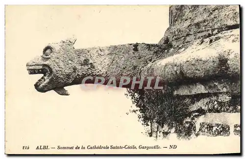 Cartes postales Gargouille Albi Sommet de la cathedrale Sainte Cecile