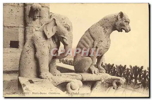 Cartes postales Gargouille Paris Notre Dame Chimeres Elephant