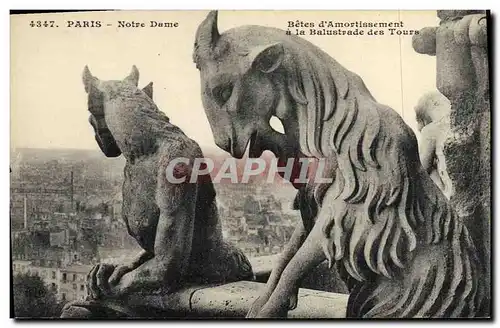 Ansichtskarte AK Gargouille Paris Notre Dame Betes d&#39armortissement a la balustrade des tours Chevre