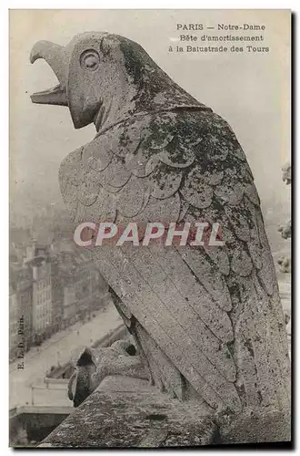 Ansichtskarte AK Gargouille Paris Notre Dame Bete d&#39amortissement a la balustrade des tours