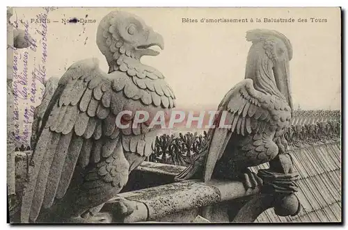 Ansichtskarte AK Gargouille Paris Notre Dame Bete d&#39amortissement a la balustrade des tours