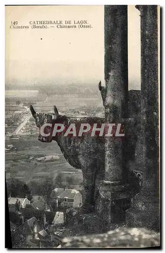 Cartes postales Gargouille Cathedrale de Laon Chimeres