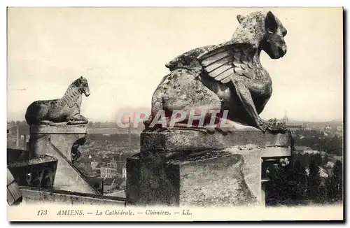 Cartes postales Gargouille Amiens La cathedrale Chimeres