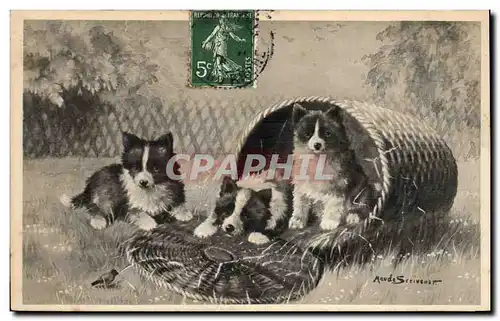 Cartes postales Chien Chiens Chiot