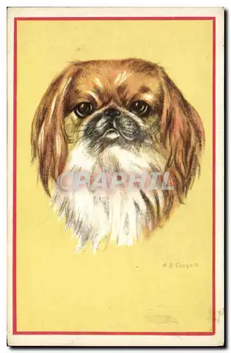 Cartes postales Chien Chiens Chiot