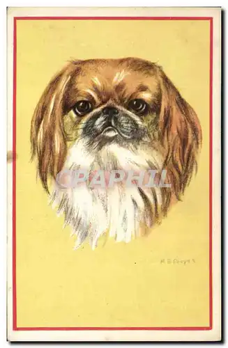 Cartes postales Chien Chiens Chiot