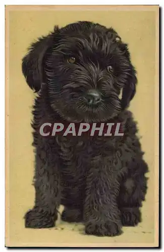 Cartes postales Chien Chiens Chiot