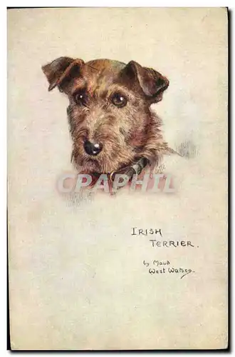 Cartes postales Chien Chiens Chiot