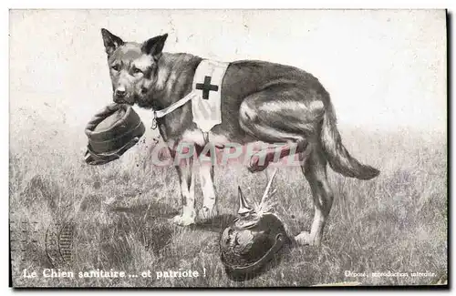 Ansichtskarte AK Chien Chiens Chiot Le chien sanitaire et patriote Croix Rouge Militaria