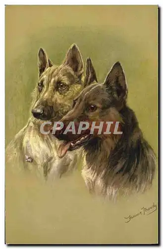 Cartes postales Chien Chiens Chiot