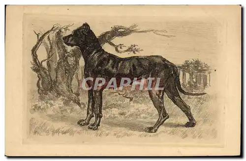 Cartes postales Chien Chiens Chiot