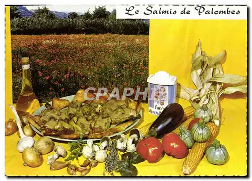 Cartes postales moderne Le Salmis de palombes