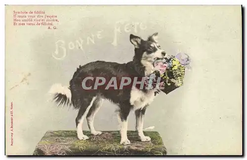 Cartes postales Fantaisie Chien