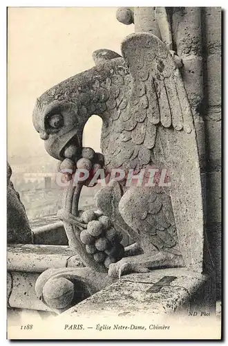 Cartes postales Gargouille Paris Notre Dame Chimere