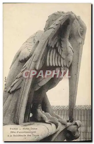 Ansichtskarte AK Gargouille Paris Notre Dame Bete d&#39armortissement a la balustrade des tours