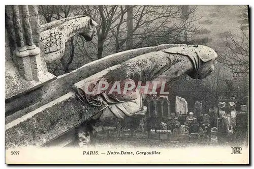 Cartes postales Gargouilles Paris Notre Dame