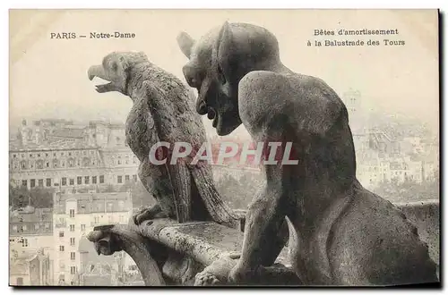 Ansichtskarte AK Gargouille Paris Notre Dame Betes d&#39armortissement a la balustrade des tours