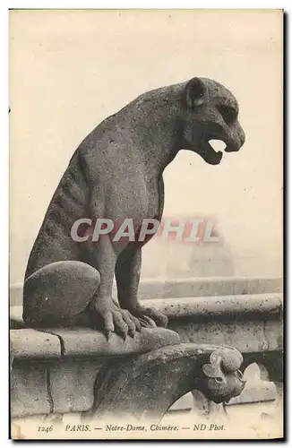 Ansichtskarte AK Gargouille Paris Notre Dame Chimere